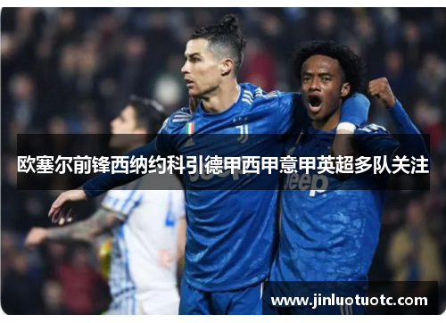 欧塞尔前锋西纳约科引德甲西甲意甲英超多队关注
